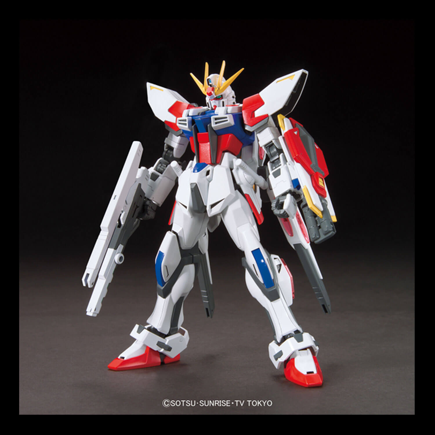 hg-wing-plavsky-1